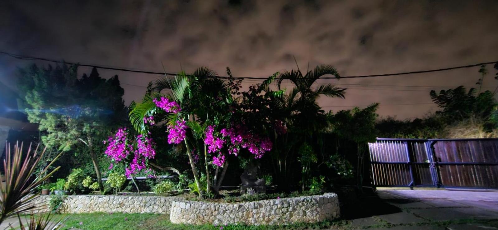 Villa Anjing Nusa Dua  Eksteriør billede